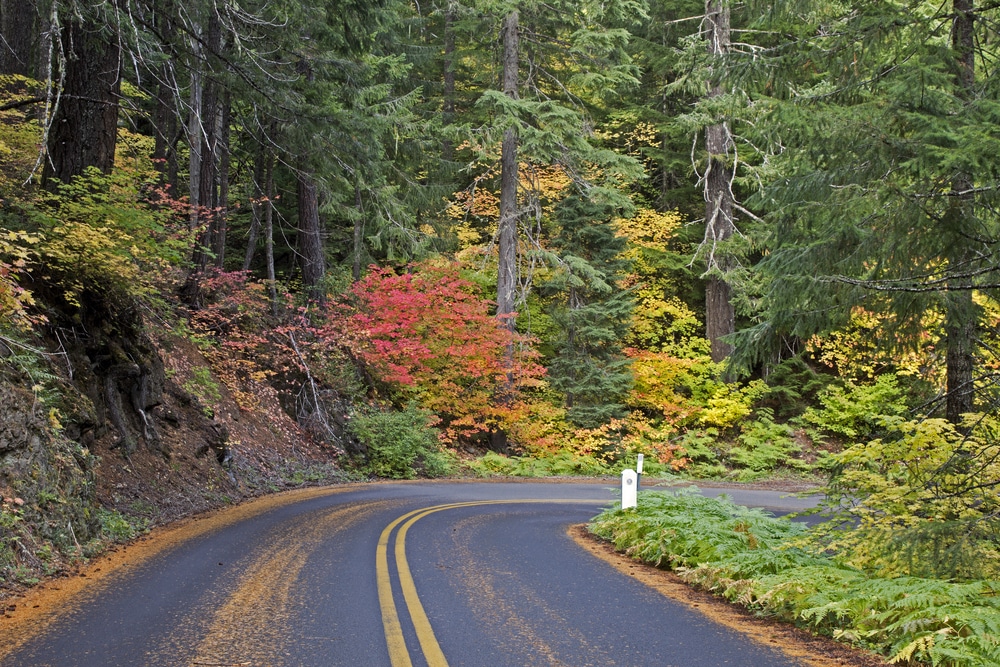 Beautiful oregon fall color on autumn foliage on the McKenzie Pass Scenic Byway, Oregon