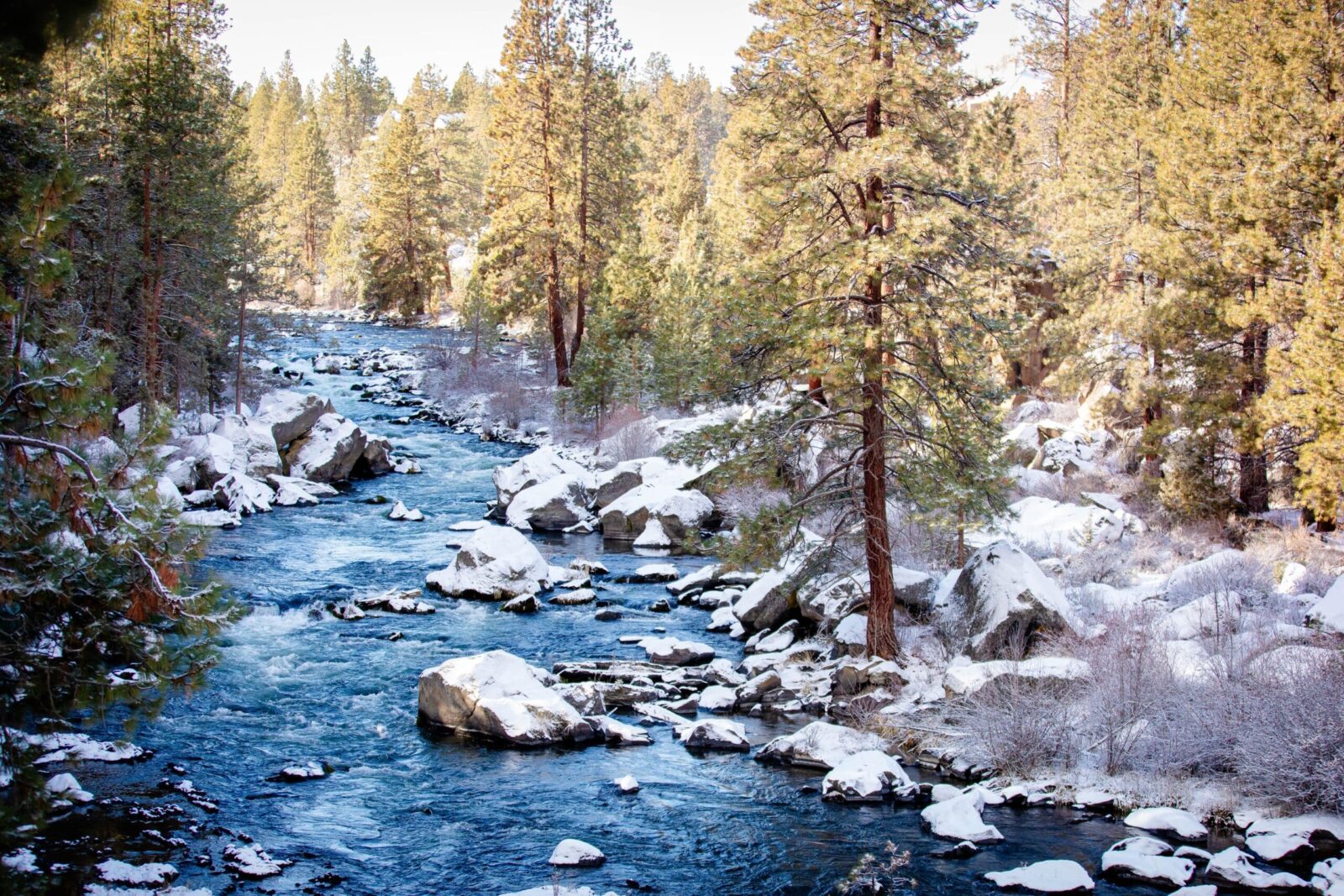 Wondering what to do in Bend this winter? Take a hike along popular trails along the Deschutes River.