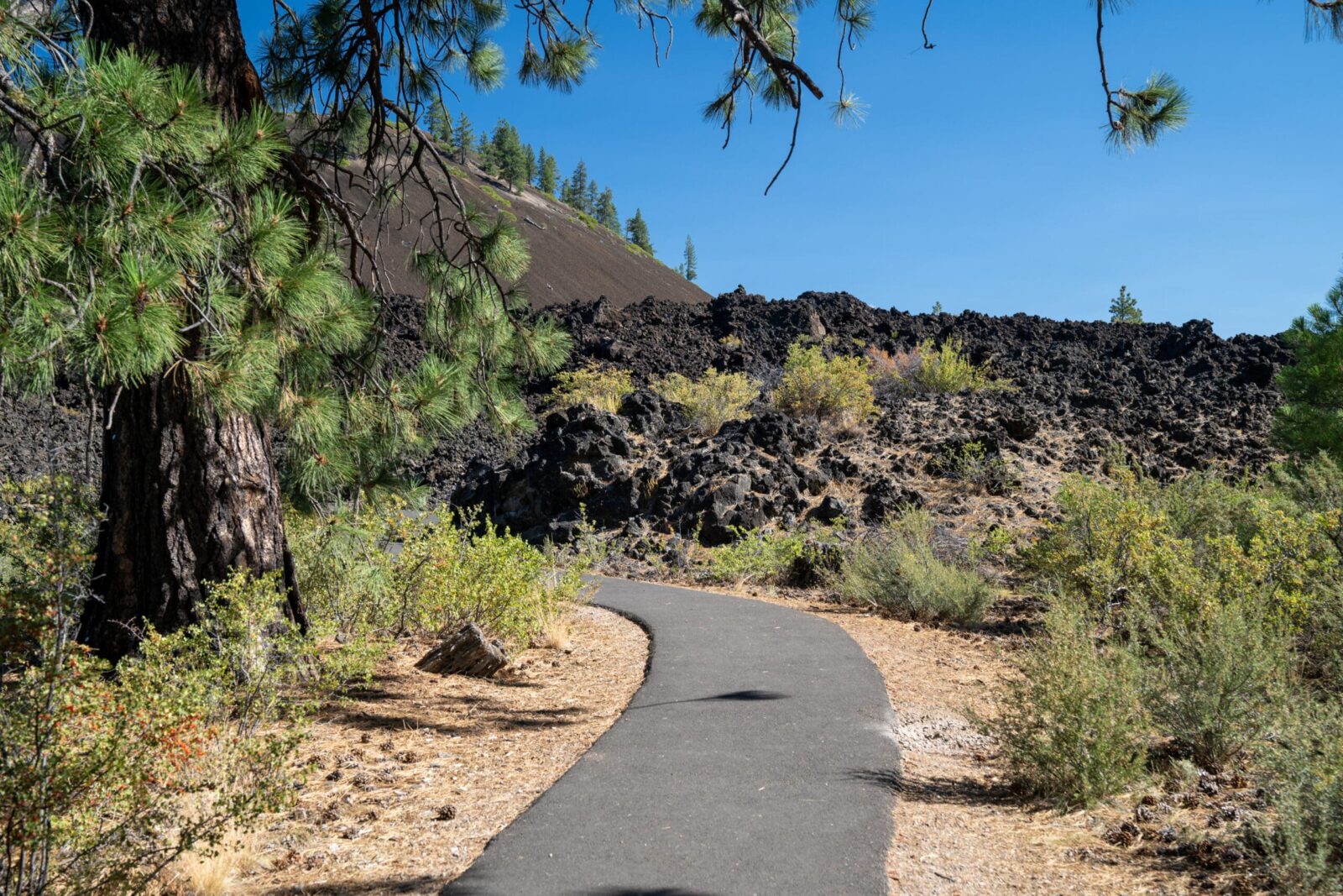 Paved trail through the Molten Lands in Newberry National Volcanic Monument.